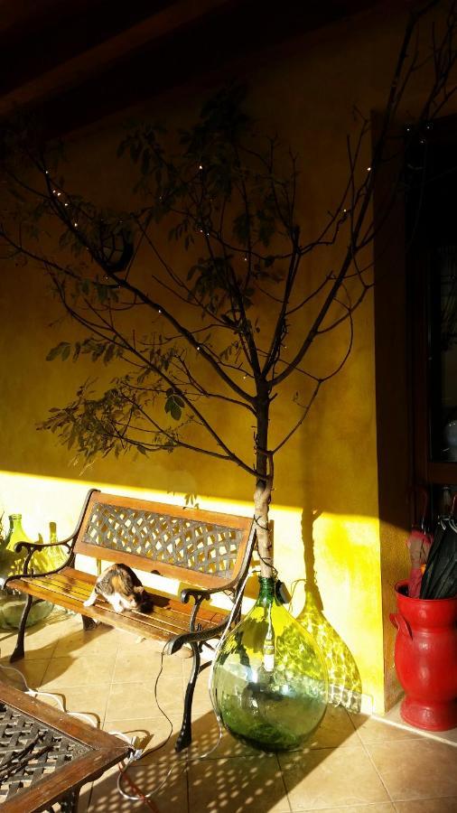 La Cascina Di Alice Bed and Breakfast Castiglione Delle Stiviere Εξωτερικό φωτογραφία